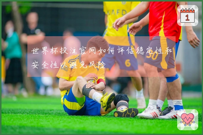 世界杯投注官网如何评估稳定性和安全性以避免风险