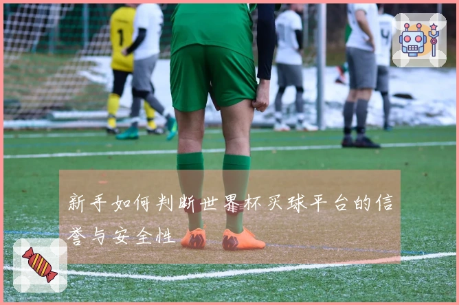 新手如何判断世界杯买球平台的信誉与安全性