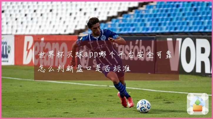 世界杯买球app哪个平台安全可靠 怎么判断盘口是否标准